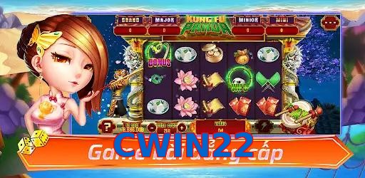 CWIN22