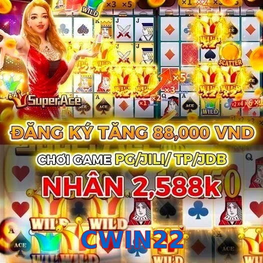 CWIN22